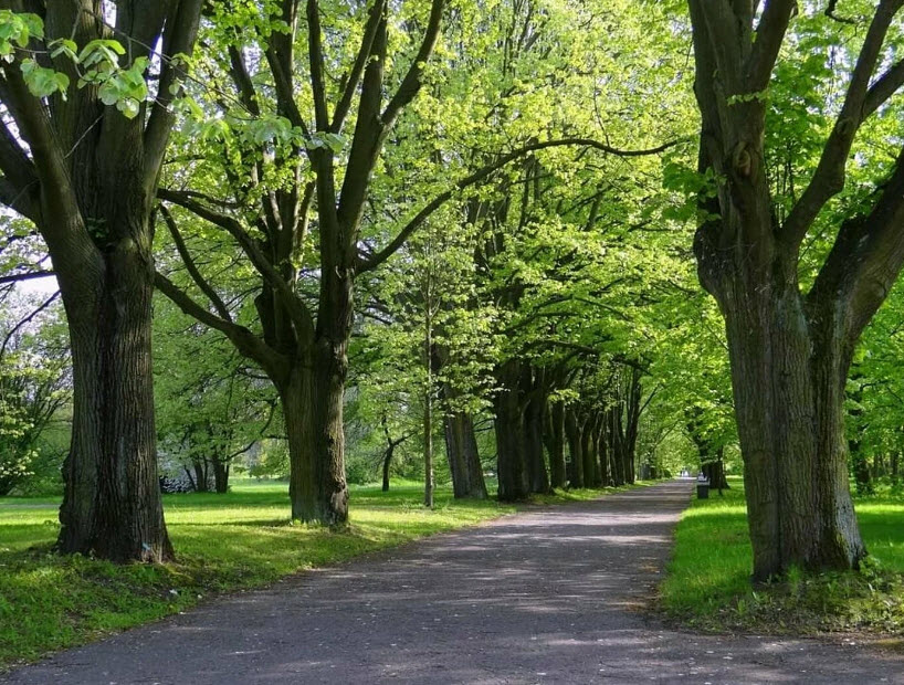 Botanical garden in Łódź, Łódź, Poland, Poland